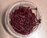 SAFFRON (Zaffron-Kesar) 1 gm