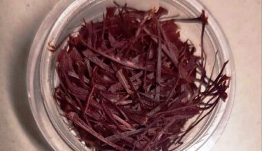 SAFFRON (Zaffron-Kesar) 1 gm